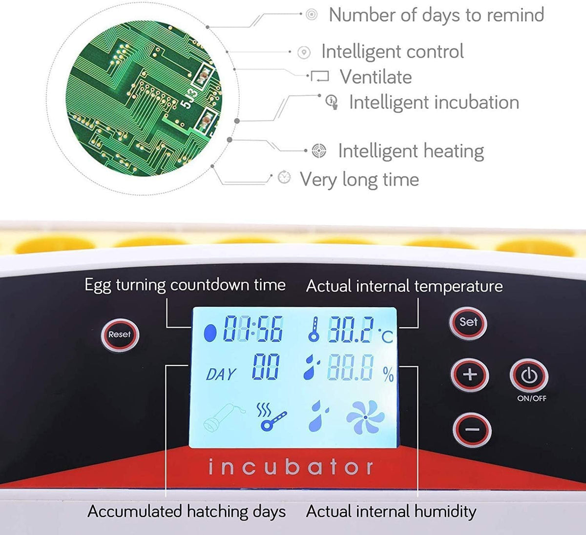55 Egg Incubator with Auto Turner & Humidity Control 360° View