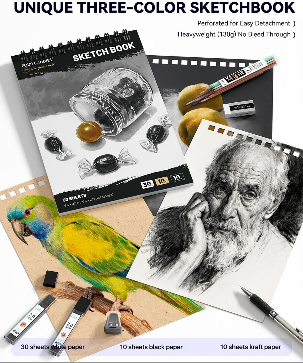 73PCS Advanced Art Supplies Drawing Kit with Fineliner Pens, Mechanical Pencils, 3-Color Sketchbook, Charcoal
