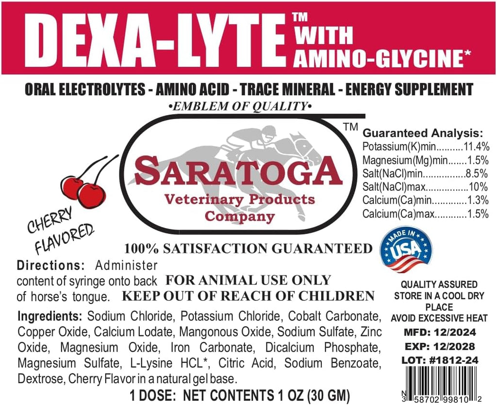 Dexa-Lyte Horse Energy Boost Premium Electrolyte & Amino Acid Energy Boost