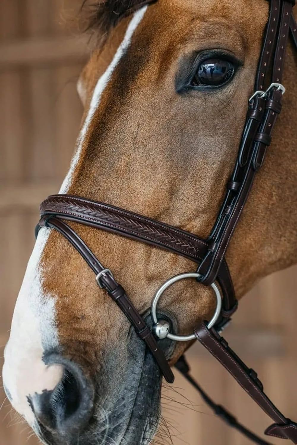 Braided Havana Brown Leather Bridle with Removable Flash – Padded Browband & Noseband – Horse Riding Bridle for