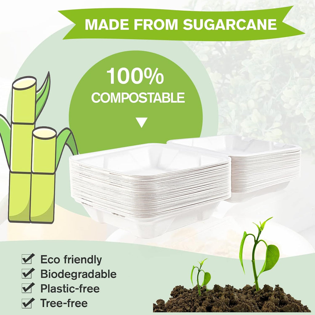 50 Pack Compostable Clamshell Take Out Food Containers, 8 inch