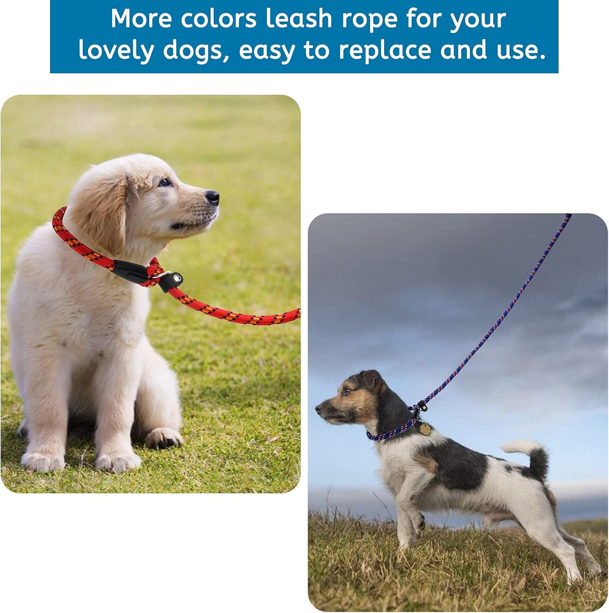 2PCS Durable Dog Slip Rope Leash, 5 FT Dog Training Leash