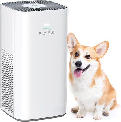 Air Purifier for Home Large Room & Pets, Covers Up to 1800 ft² with CADR 242 CFM, H13 HEPA Filter, Air Quality