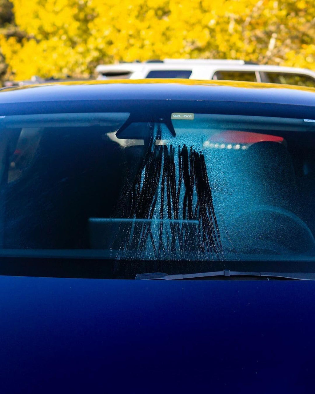 Clarify PH₂OBIC- Glass Cleaner & Water Repellent, Streak-Free Rain Repellent - Safe on Interior and Exterior Glass &