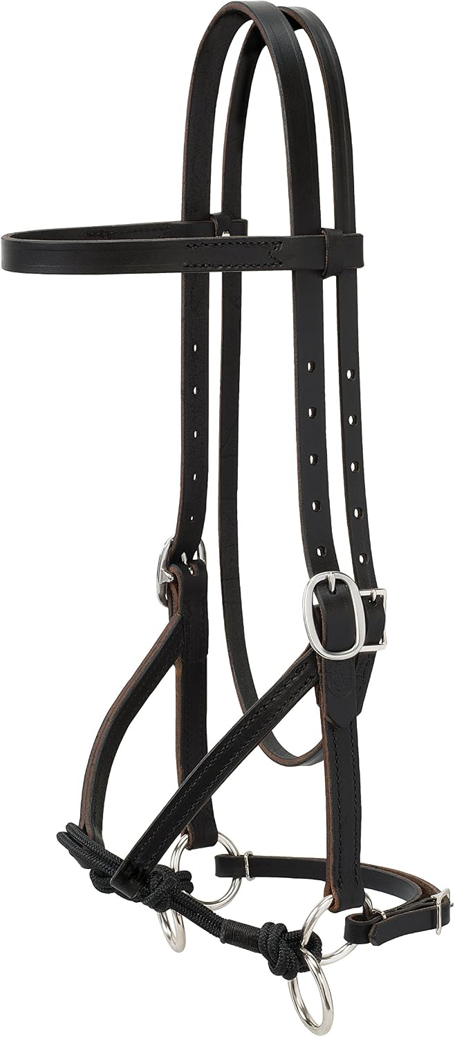Justin Dunn Bitless Bridle