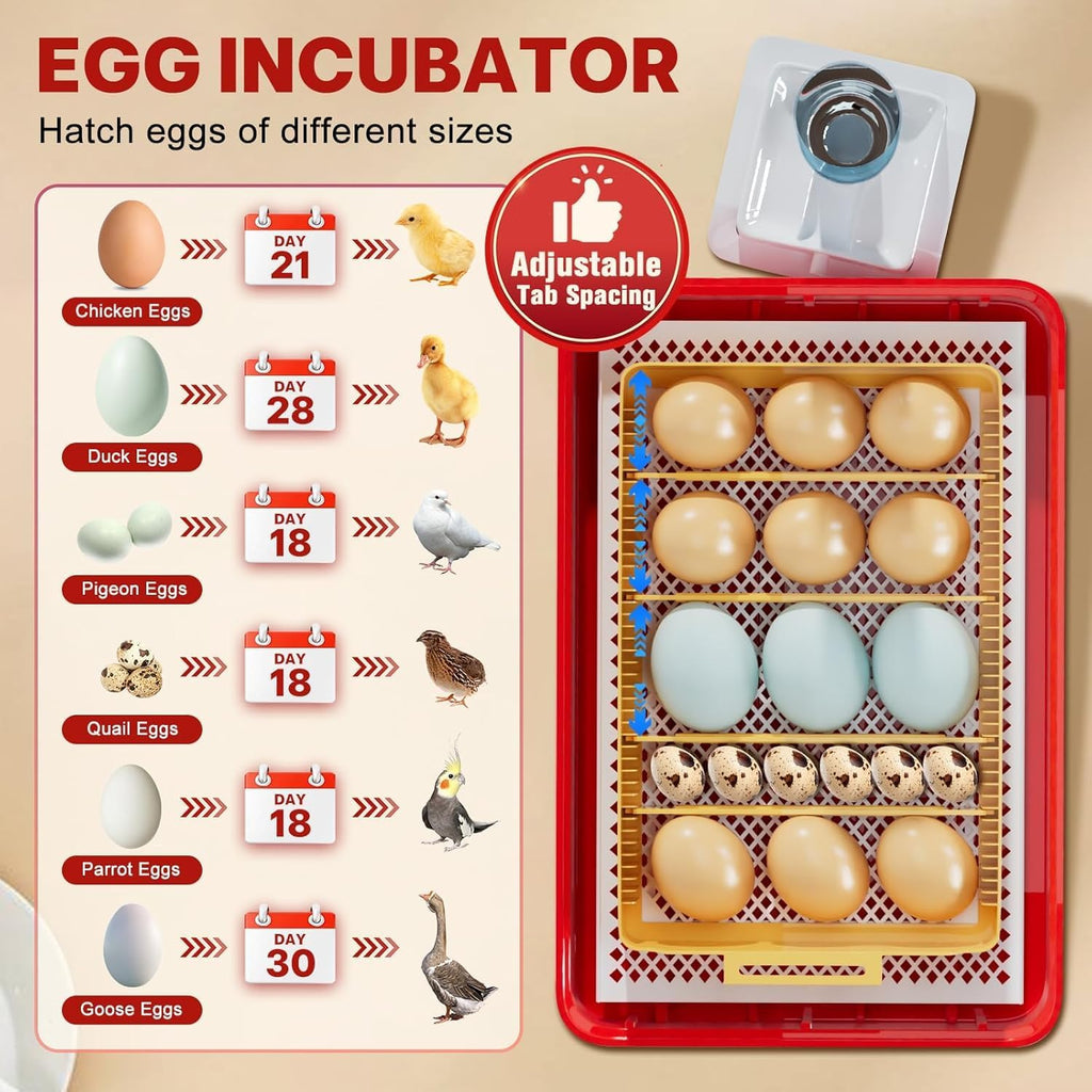 Incubators for Hatching Eggs 15-35 Eggs Incubator with Automatic Egg Turning and ℉Temperature Display LED Candler