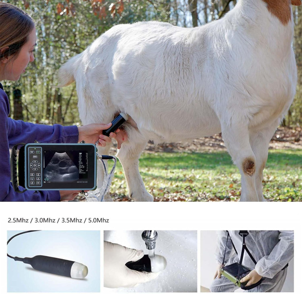 Vet Ultrasound Machine for Pregnancy Veterinary Ultrasound Scanner with 3.5Mhz Convex Probe for Sheep，Goat,Pig
