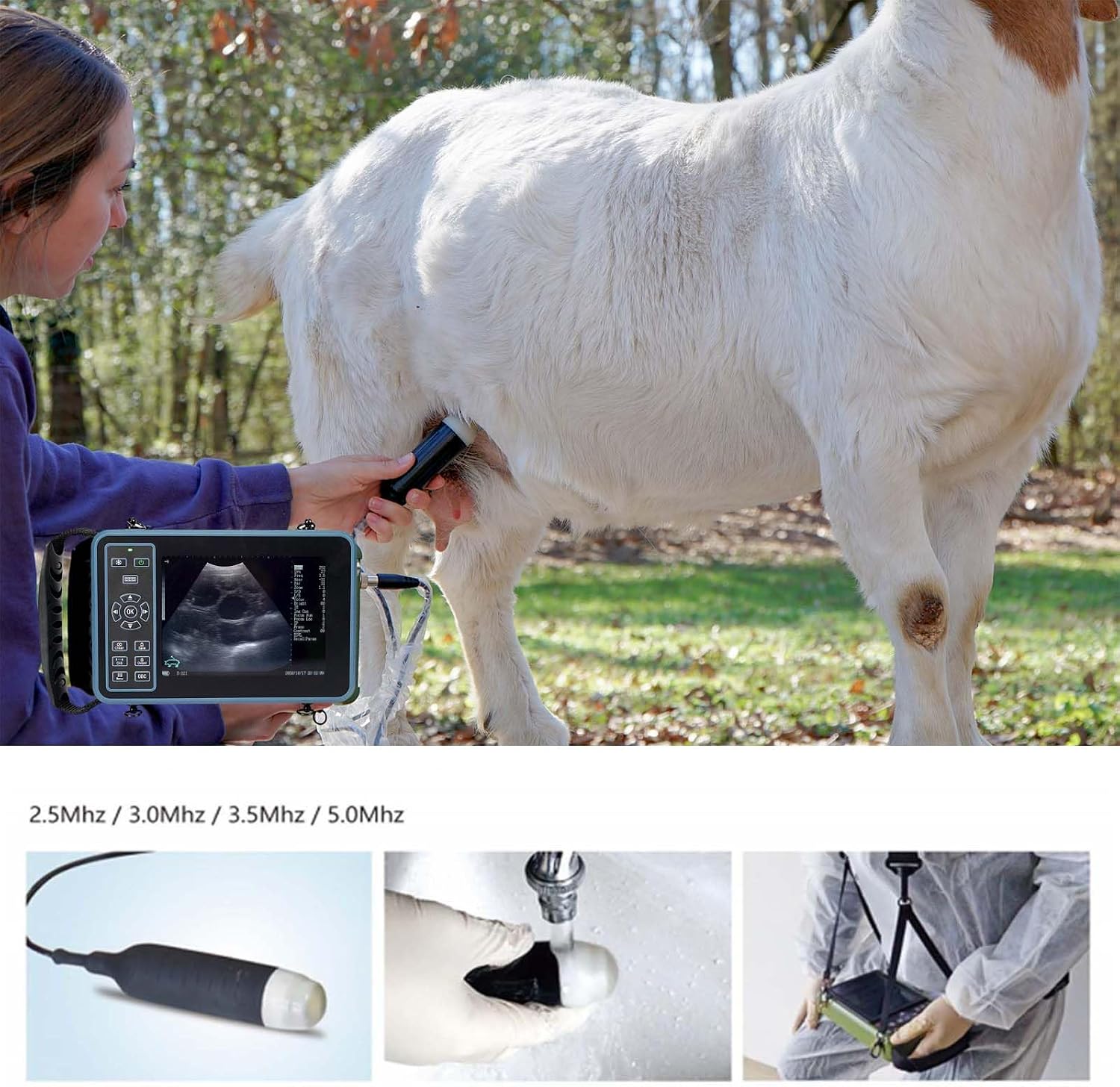 Vet Ultrasound Machine for Pregnancy Veterinary Ultrasound Scanner with 3.5Mhz Convex Probe for Sheep，Goat,Pig