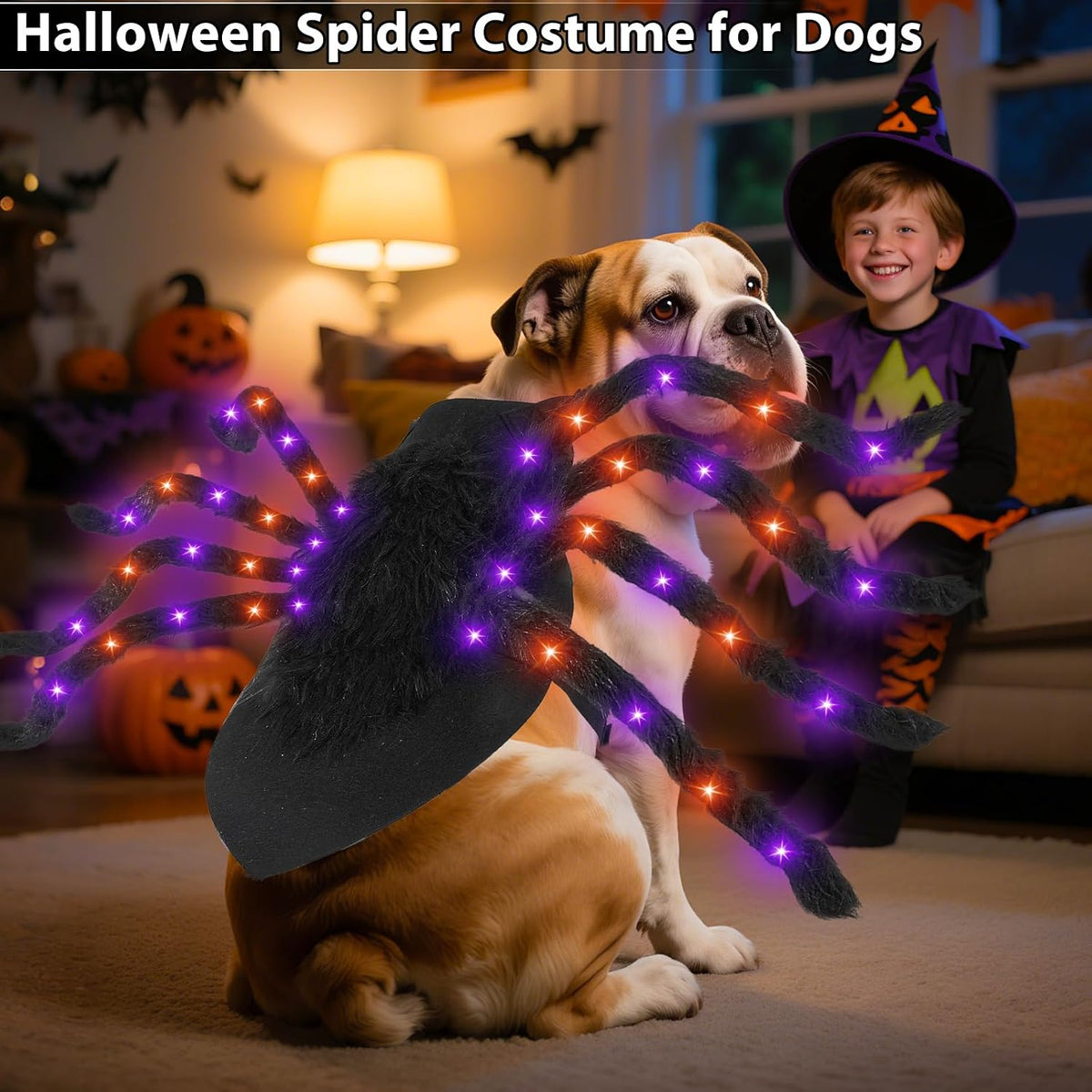 Halloween Light up Spider Dog Costumes for Small Medium Large Dogs