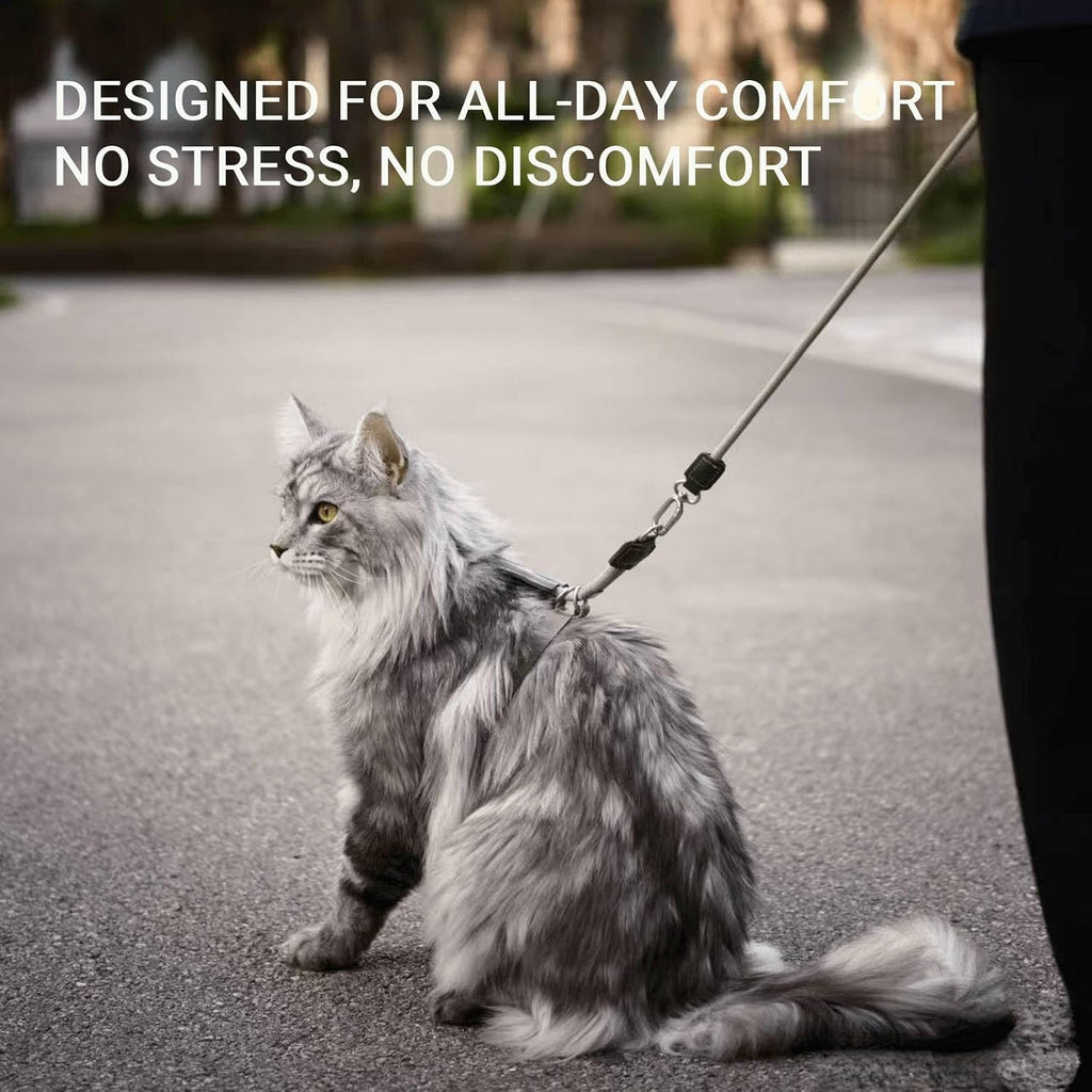 Adjustable Escape Proof Cat Harness and Leash Set