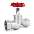 2" NPT S-Type Wye Pattern Globe Valve, Stainless Steel, Female Thread, DN50