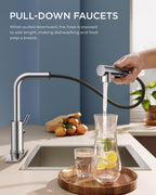 FORIOUS Kitchen Sink Faucet, with Pull Out Sprayer, Single Handle, Chrome