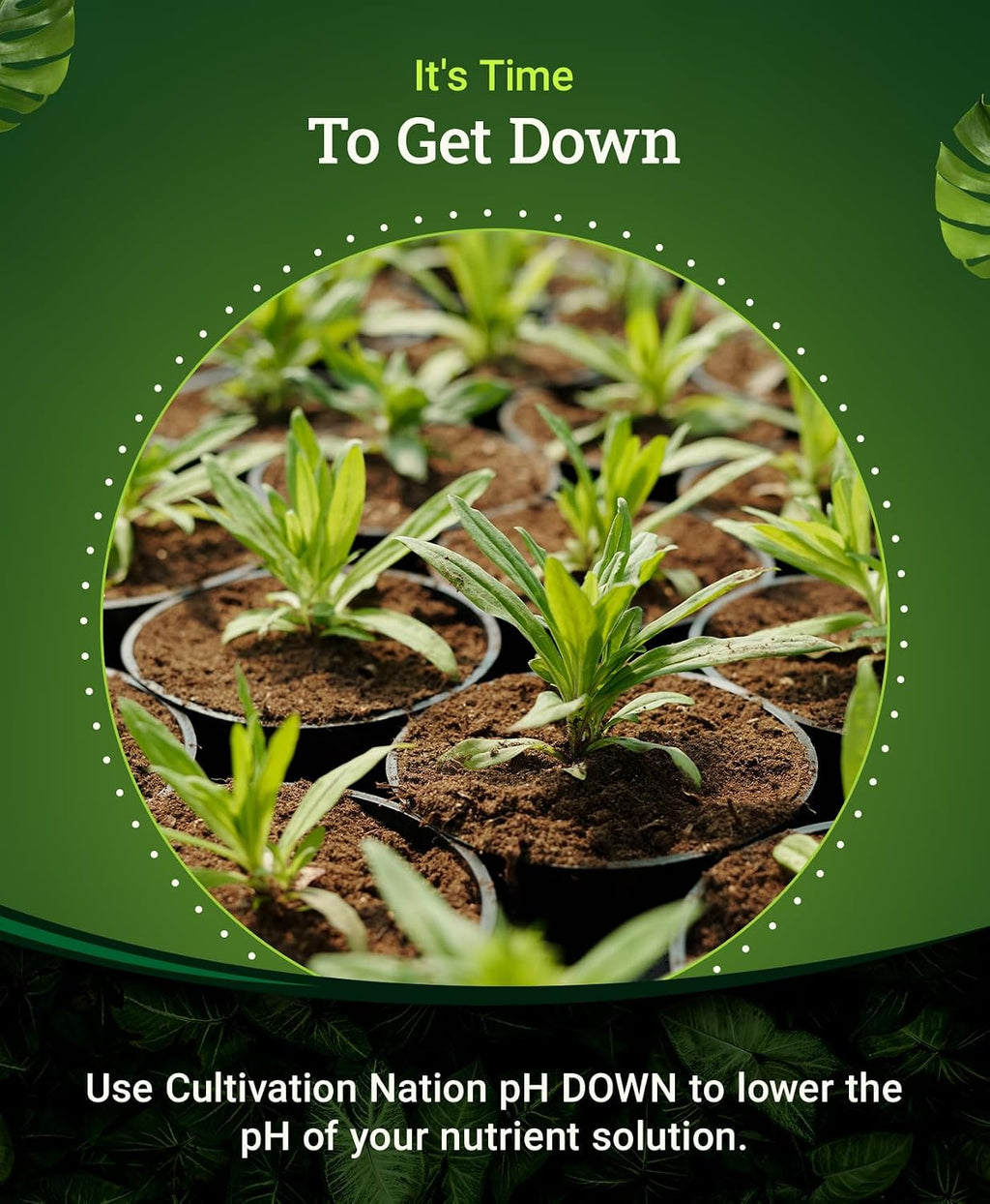 Cultivation Nation pH Down for Plants’ Nutrient Solutions - Formulated with Citric Acid for Adjustment - Ideal for