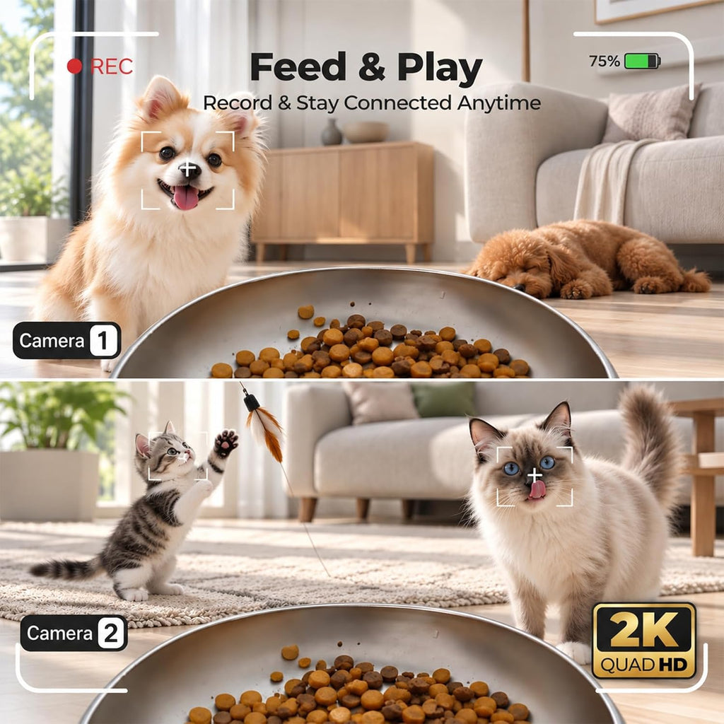 Automatic Cat Feeder 2 Cat with 2 Cameras: Dual Auto Dog Feeder-6L