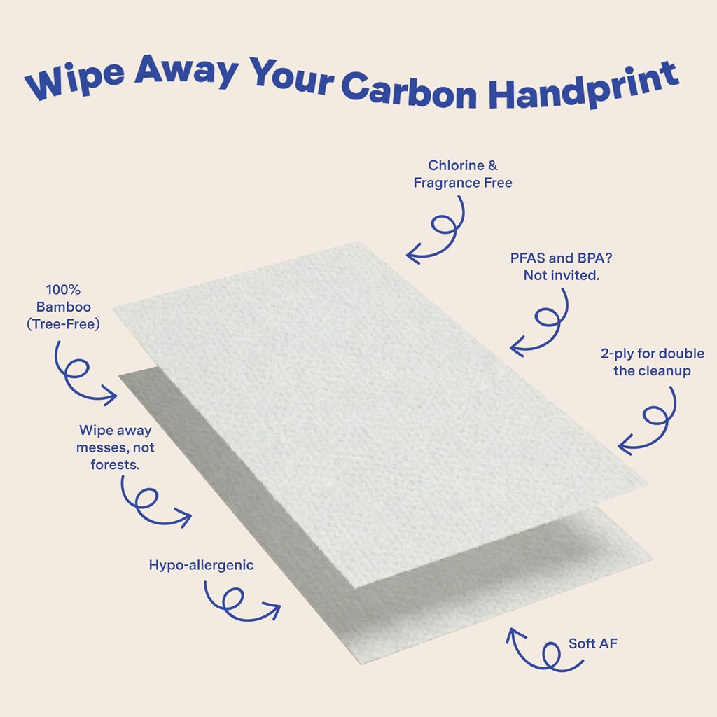 Repurpose 100% Bamboo Paper Towels, 6 Rolls, 150 Sheets/Roll