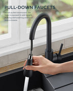 FORIOUS Black Kitchen Faucet with Pull Down Sprayer, Stainless Steel