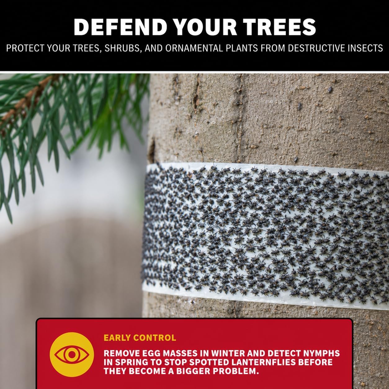 Tree Shield Lantern Fly & Ant Traps Insect Barrier, 4 Rolls 30ft Each, Outdoor Adhesive Crawling Insect Trap to