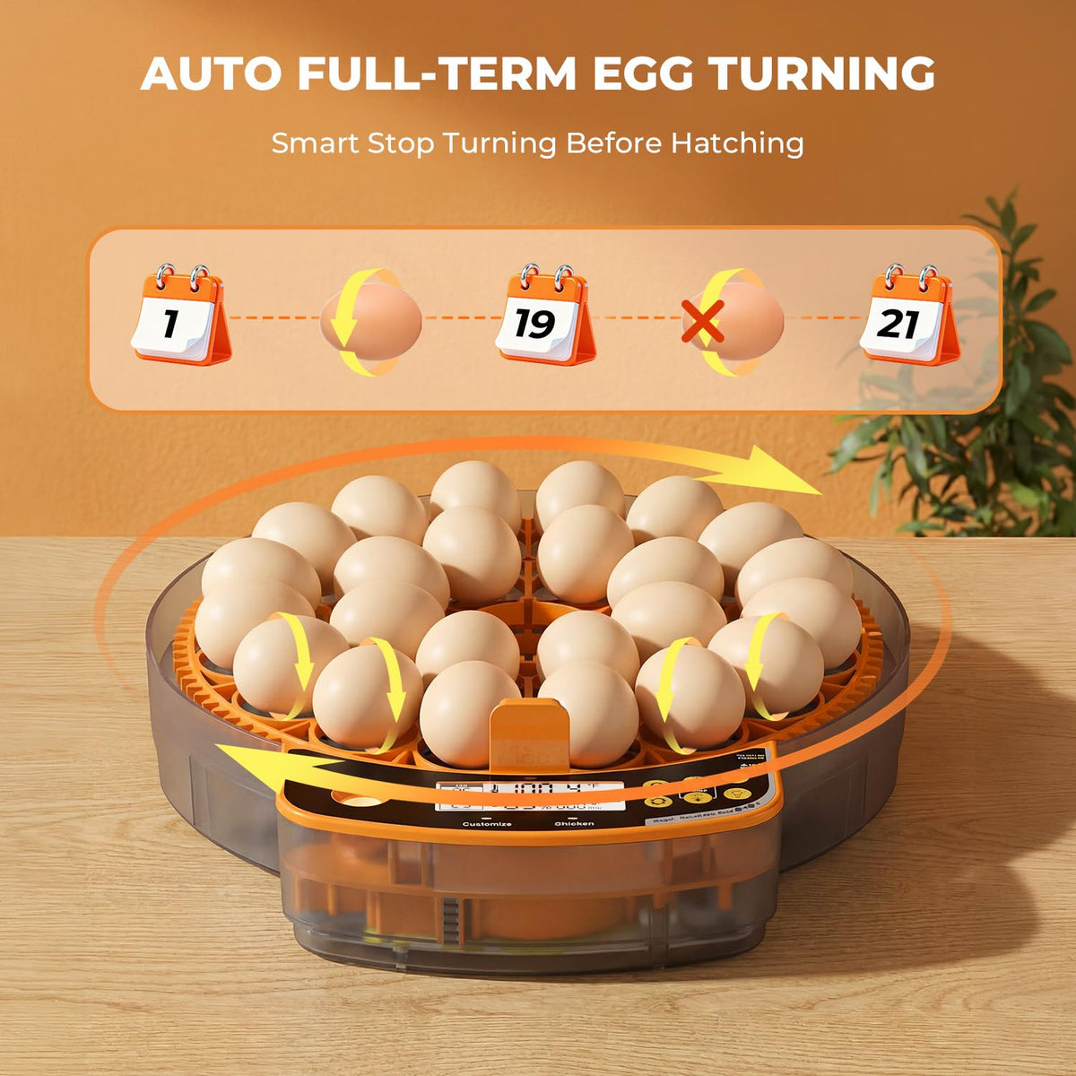 24 Egg Incubator - Smart Incubators for Hatching Chicken Eggs with Temperature & Humidity Control, Egg Candler, Auto