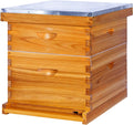 10-Frame Beehives Starter Kit – Complete Langstroth Hive with 1 Deep Brood Box & 1 Medium Super, Beeswax-Coated