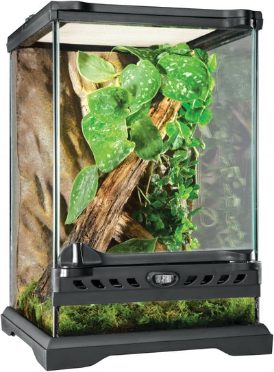 Glass Nano Terrarium Kit, 8 x 8 x 12 Inches