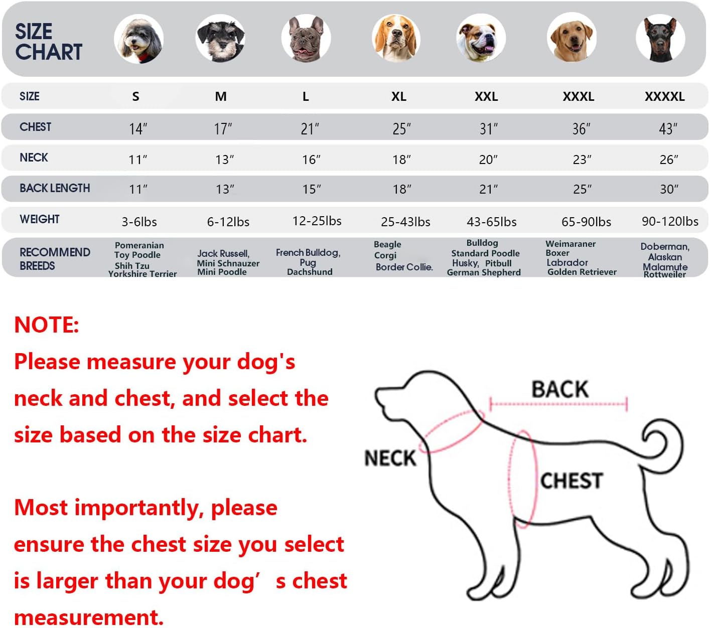 Small Dog Fleece Varsity Jacket for Winter, Warm Pet Coat with Snap Buttons, Cold Weather Heavyweight Coats for Cats