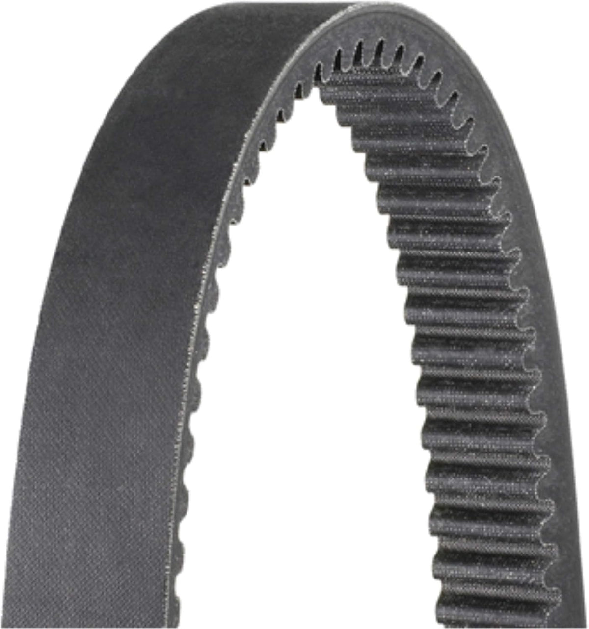 Dayco HP2019 Outdoor Activity Belt, Black