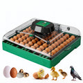 Egg Incubator for Chicken Eggs, Max 72 Egg Incubator with Auto Turner