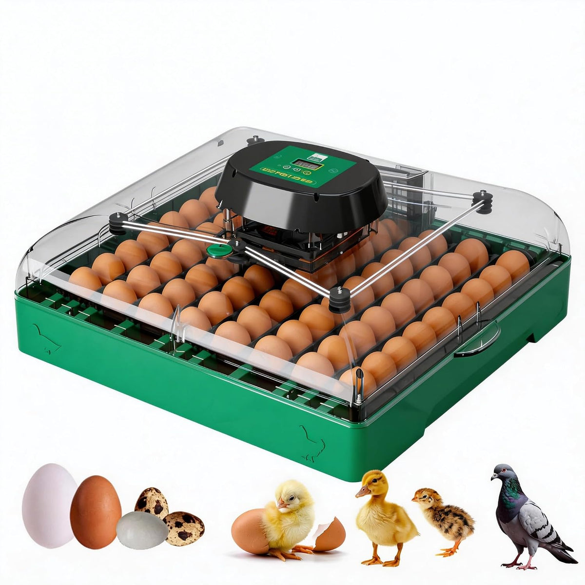 Egg Incubator for Chicken Eggs, Max 72 Egg Incubator with Auto Turner