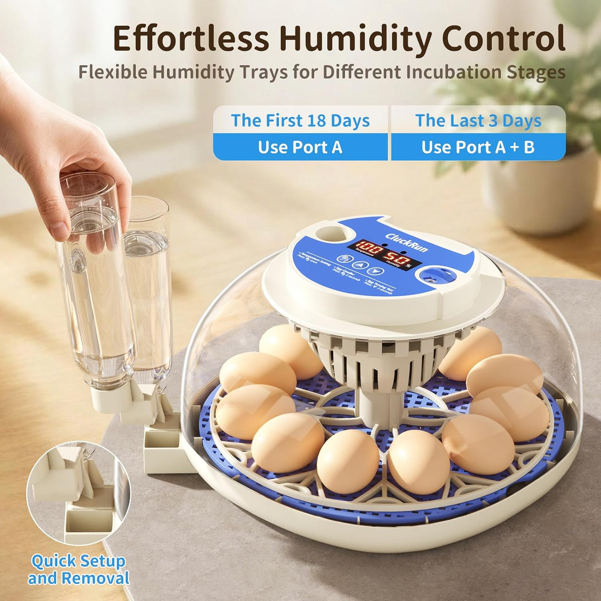 12 Egg Incubators for Hatching Eggs, Auto Turning, Temp & Humidity Control
