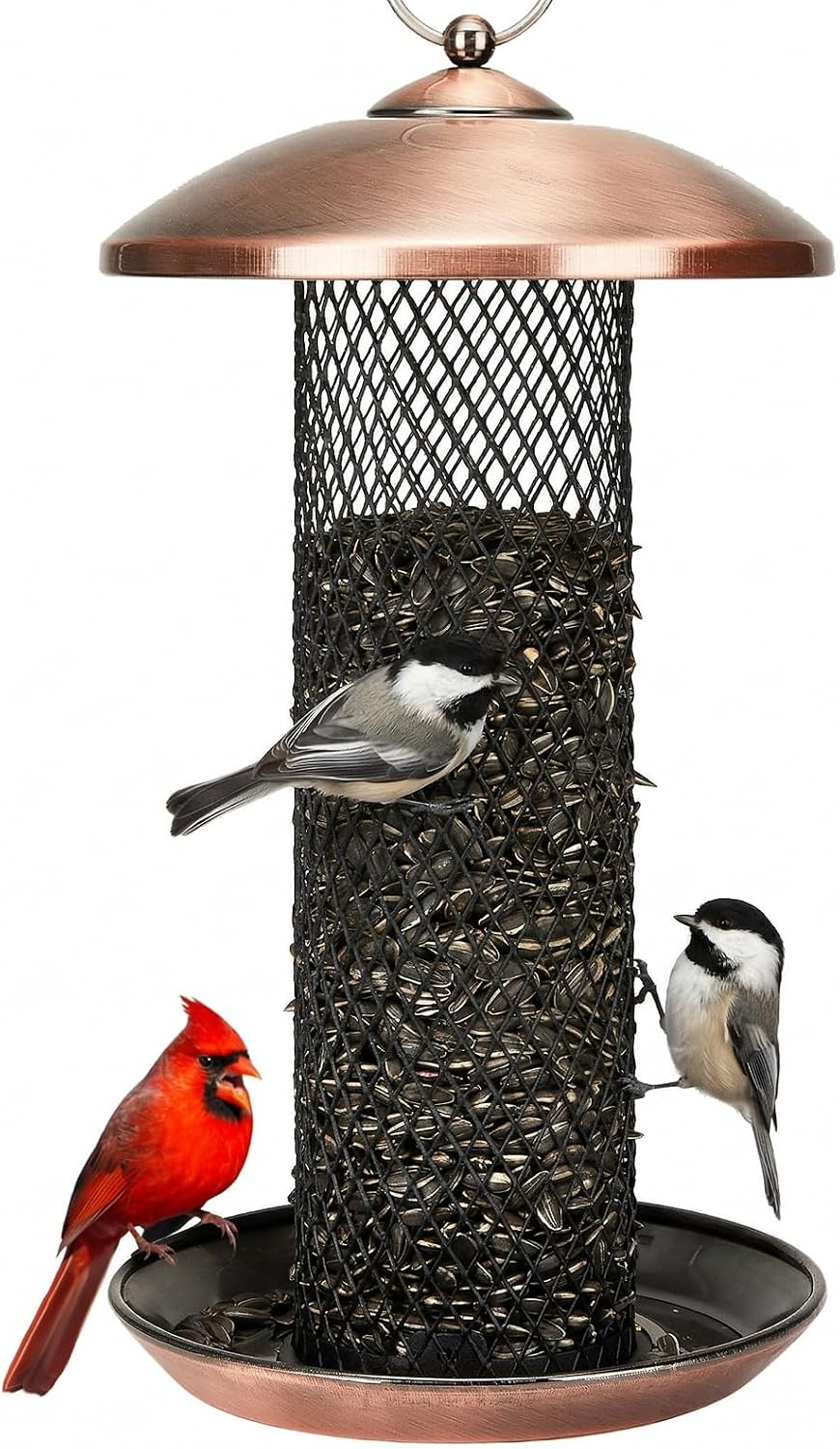 Wild Bird Feeders for Outdoors Hanging, All Metal