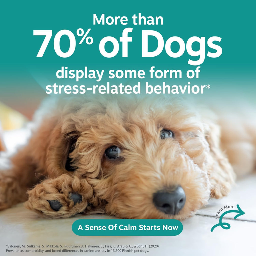 Calming Chews for Dogs - Dog Calming Supplement - Turkey 90ct