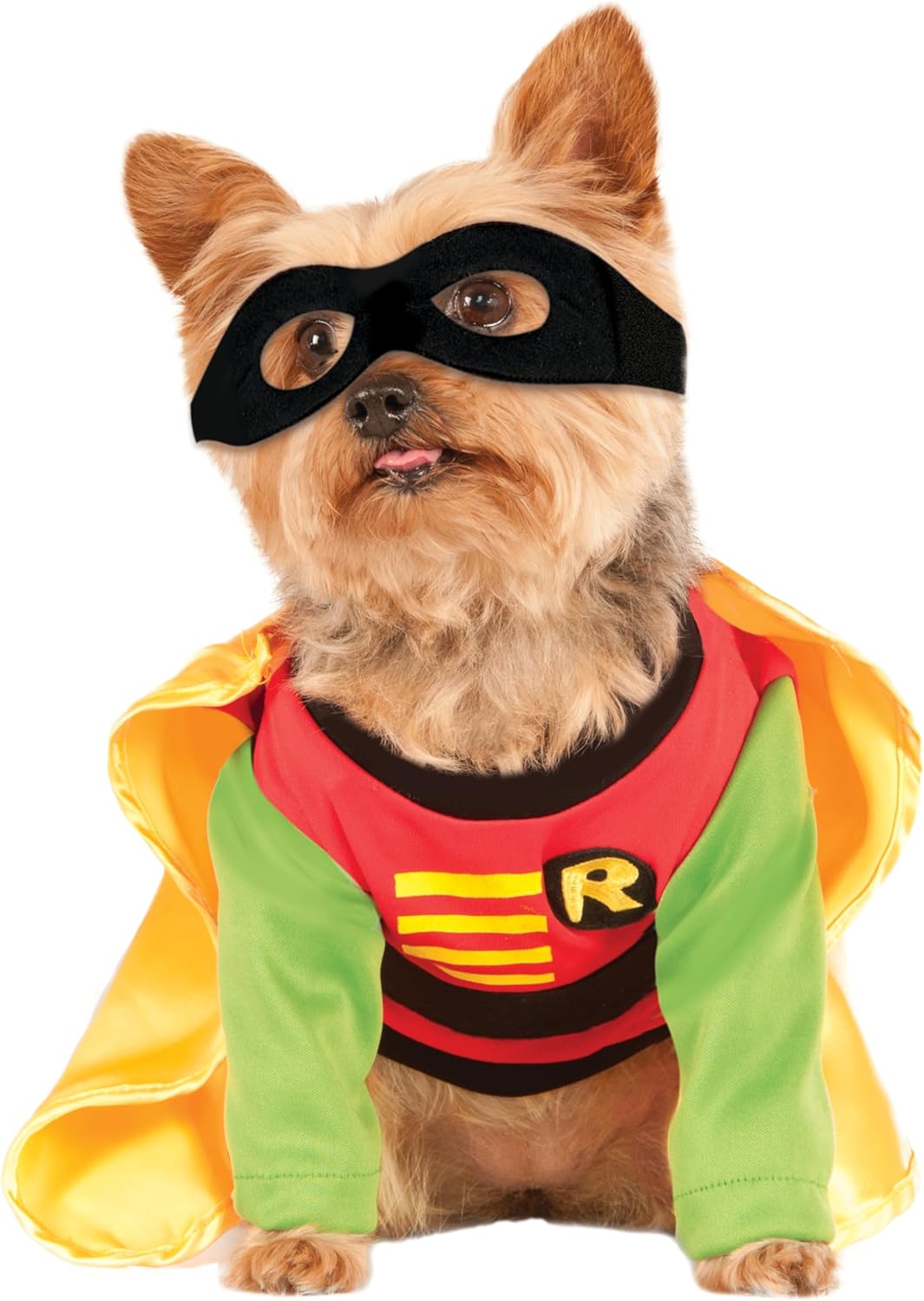 DC Teen Titans: Robin Pet Costume for Dogs or Cats, Medium