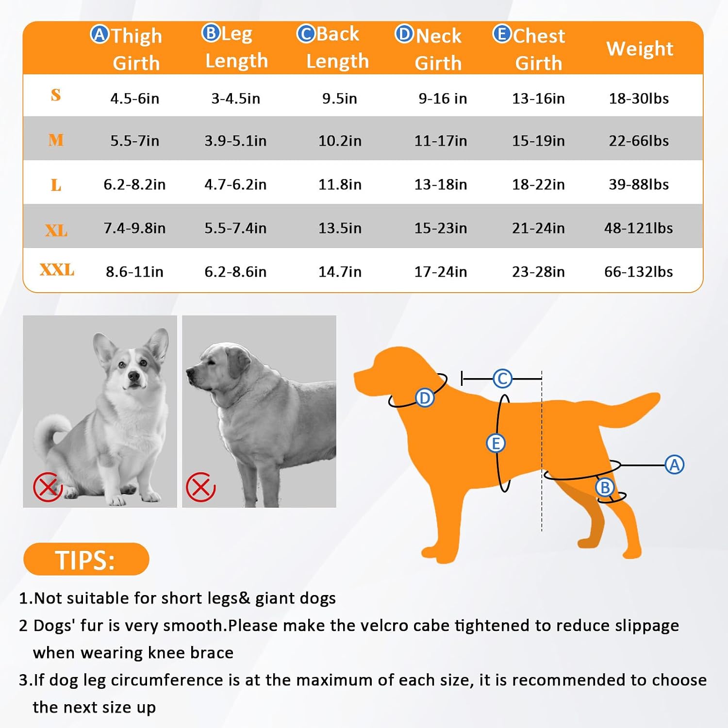 Dog Knee Braces for Back Leg,Knee Support for Dogs ACL/CCL Care Ideal for Dog Back Legs, Dog Leg Brace with Vest for