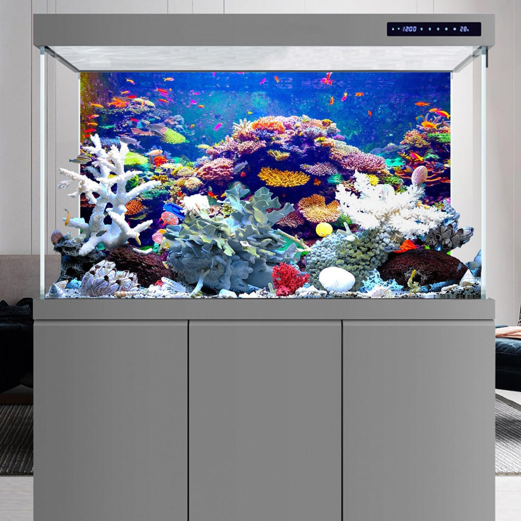 Undersea Aquarium Background 24x12 in Coral Tropical Fish Tank Backdrop
