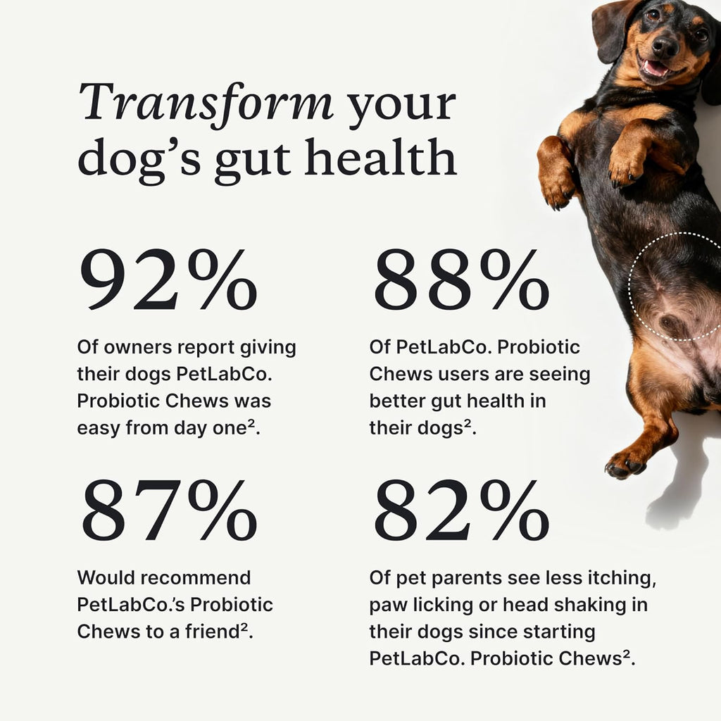 Probiotic Chews for Dogs, 30 Soft Chews, Pork