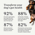 Probiotic Chews for Dogs, 30 Soft Chews, Pork