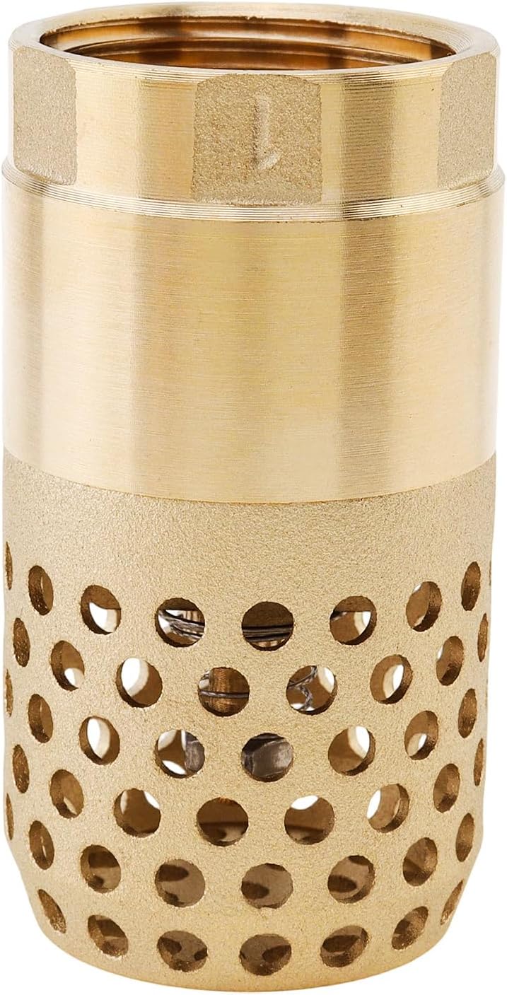 1In Brass Foot Valve BSP DN25 Spring Mesh Check Valve Backflow Preventer