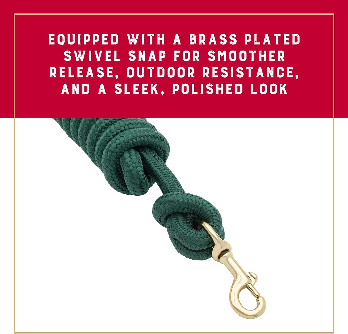 10' Performance Lead Rope, Brass-Plated Snap