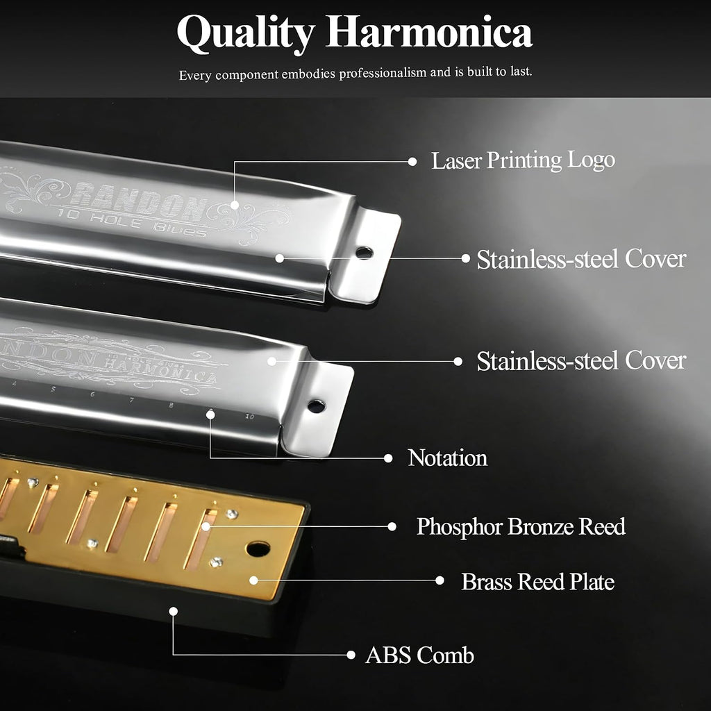 Silver Harmonica Key of C with Case, 10 Holes 20 Tones Diatonic Harmonicas Mouth Organ, Blues Harmonica for
