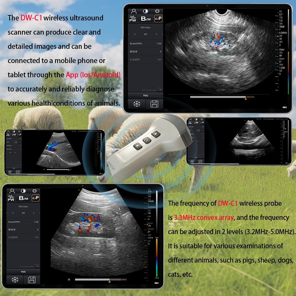 Convex Probe Veterinary Color Doppler Ultrasound Machine, Wireless Handheld Scanner for Pregnancy & Organ Exam in Dog