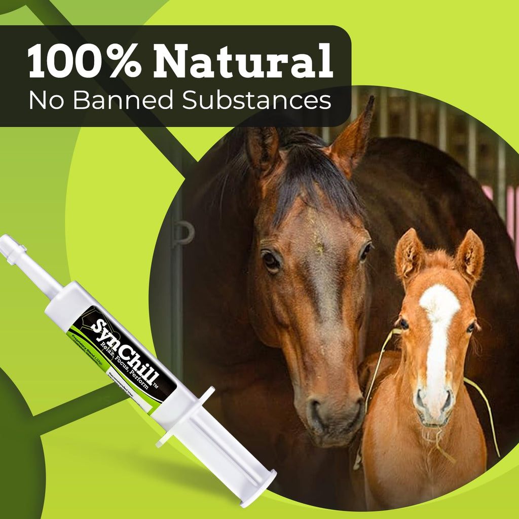 SynChill Horse Calming Supplement Gel, 2 Pack | Composure & Focus