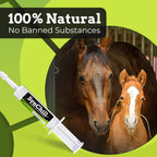 SynChill Horse Calming Supplement Gel, 2 Pack | Composure & Focus