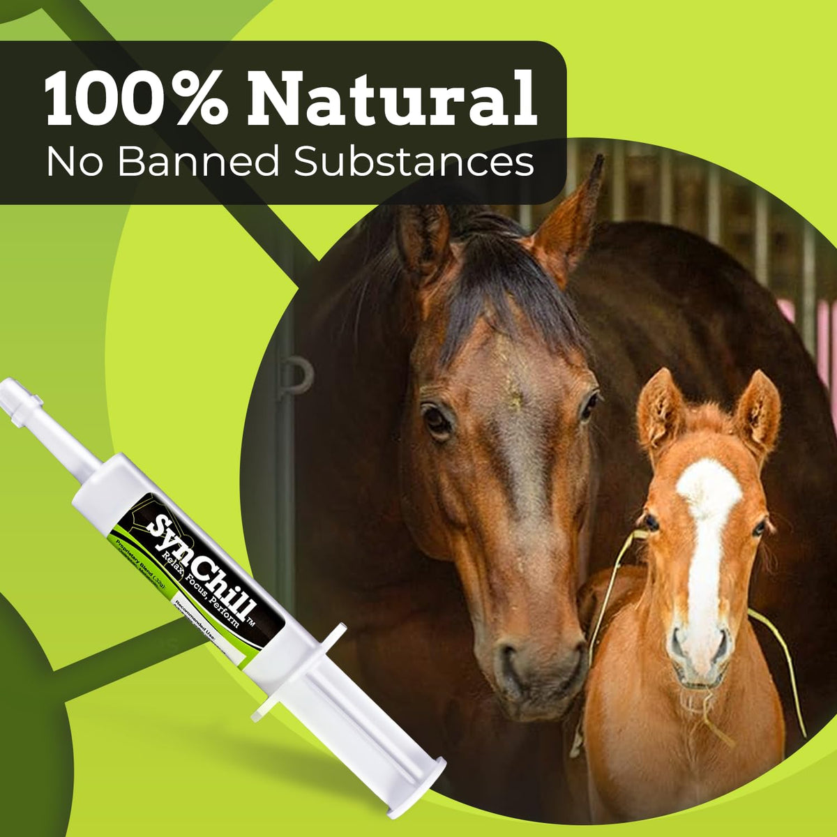 SynChill Horse Calming Supplement Gel, 2 Pack | Composure & Focus
