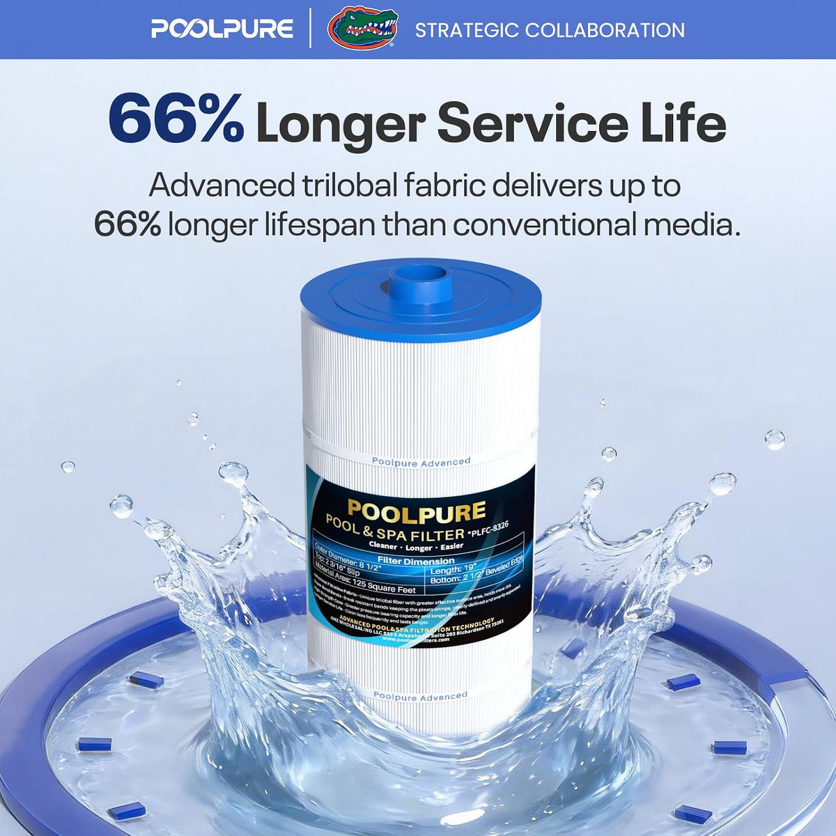 POOLPURE C-8326 SPA Filter Replaces Sundance 6540-488 1PACK