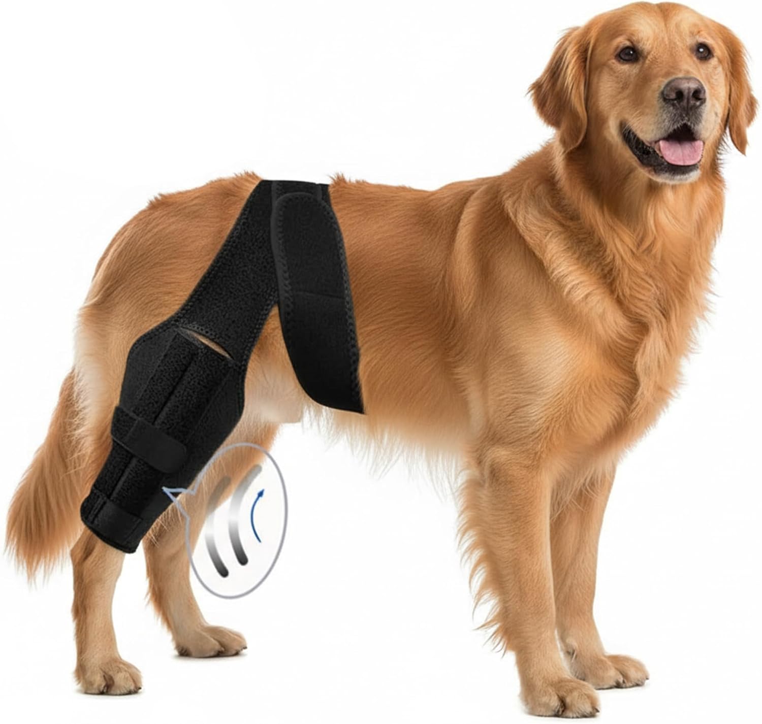 Dog Knee Brace for Back Leg – Large, Adjustable Rear Leg Support Wrap with Side Stabilizers, Breathable Neoprene for