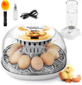 Egg Incubator for Hatching Chicks, Automatic Egg Turner Holds 12 Eggs