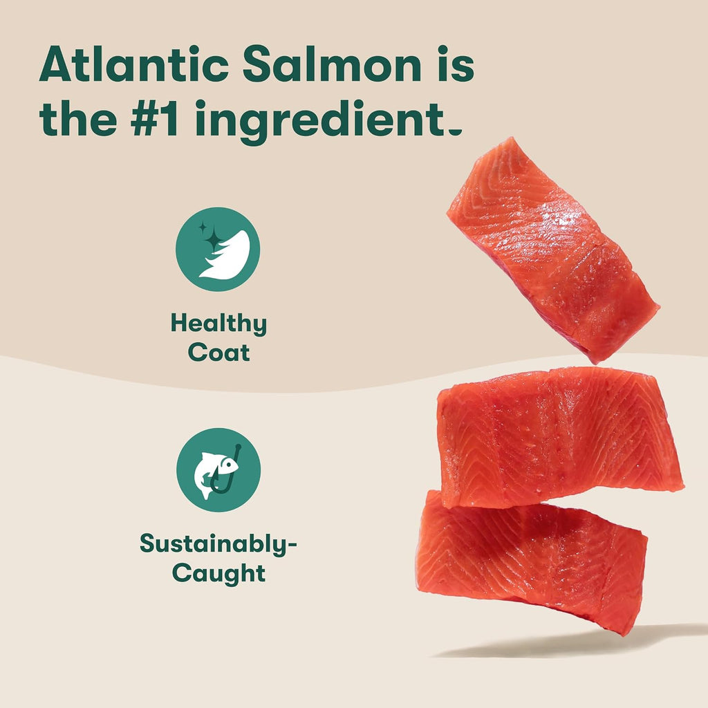 Grain Free Dry Dog Food, Small Breed - Real Salmon, 4lb