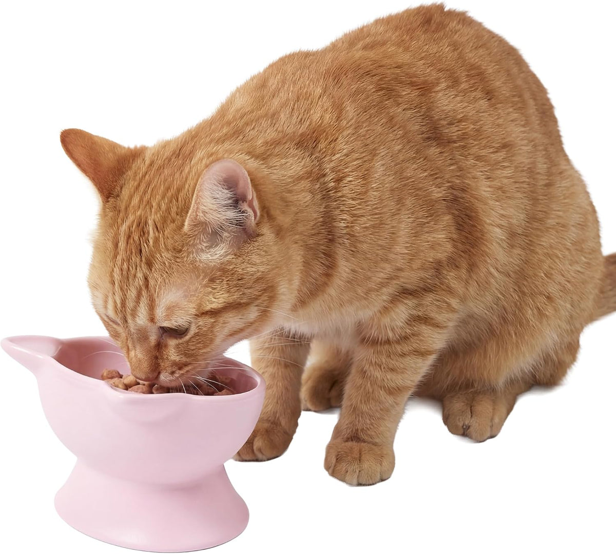 Elevated Cat Bowls (Set of 2), Whisker-Friendly Raised Cat Food & Water Dishes, Modern Pedestal Design, Dishwasher