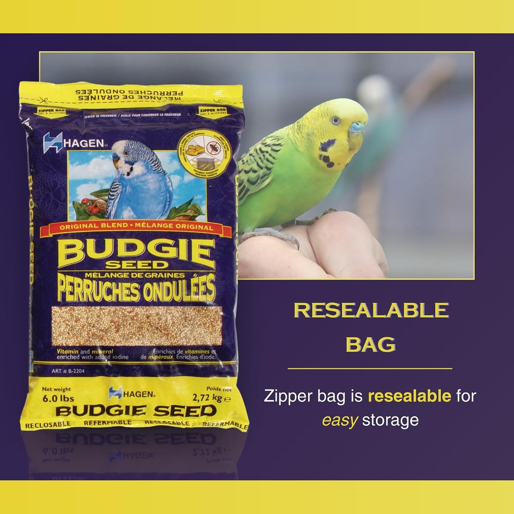Parakeet/Budgie Staple White Millet Bird Seed - 6 lb Bag | Premium Blend, Nutritionally Balanced, Fortified with