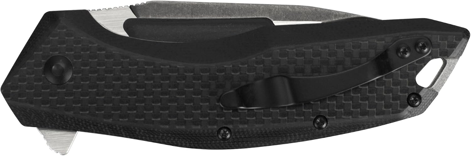 Flourish Pocket Knife, Black, 3.5 Inch Drop Point Blade | EDC Knife with Assisted Opening, Reversible Pocketclip